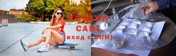 индика Абаза