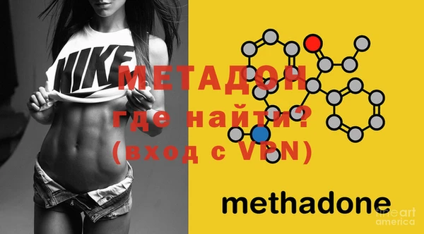 индика Абаза