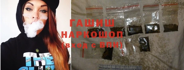 индика Абаза