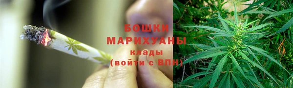 индика Абаза