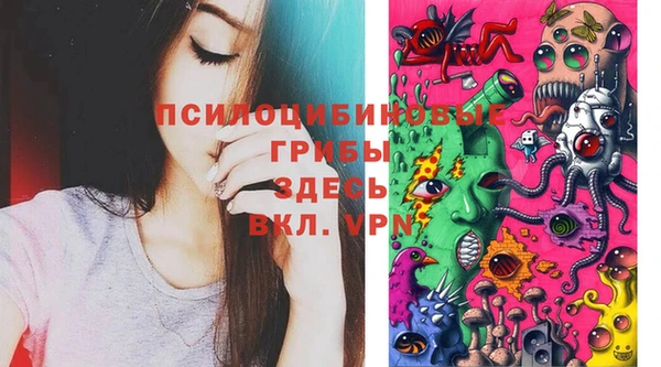 индика Абаза