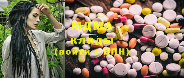 индика Абаза