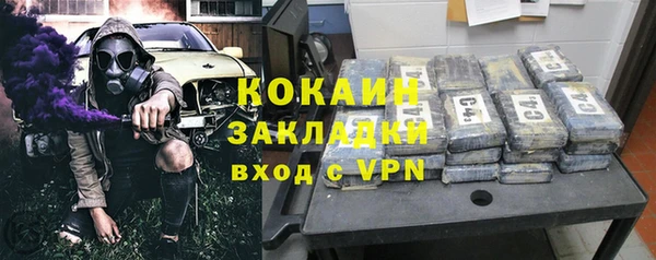 индика Абаза