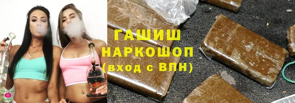 индика Абаза