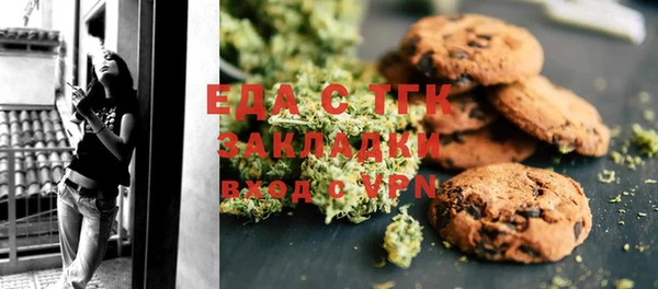 индика Абаза
