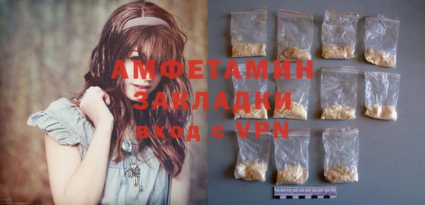 индика Абаза