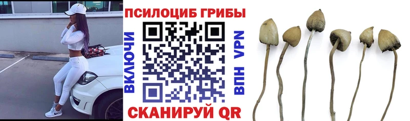 Галлюциногенные грибы Magic Shrooms  Зарайск 